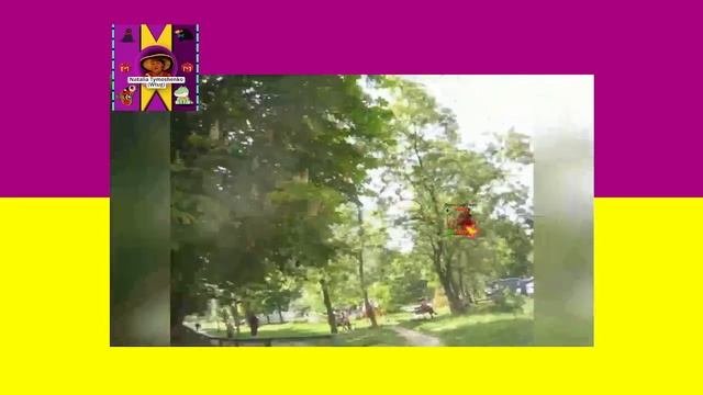 Восхищаюсь и принимаю мир Чувства радости и счастья потому что жизнь прекрасна