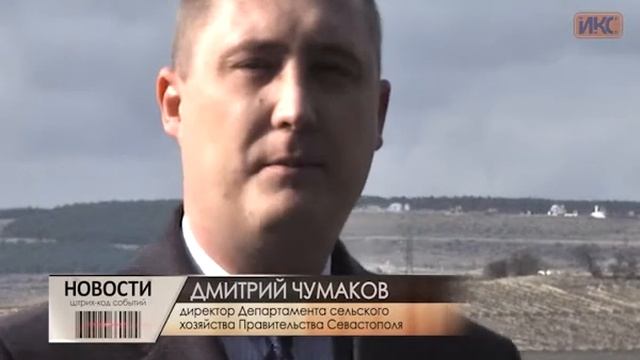 Более 600 тысяч новых саженцев винограда закладывает «Золотая Балка»