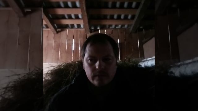 3 декабря. видео о вере и исцелении во имя Иисуса. Евангелие в простоте. получите свое исцеление.