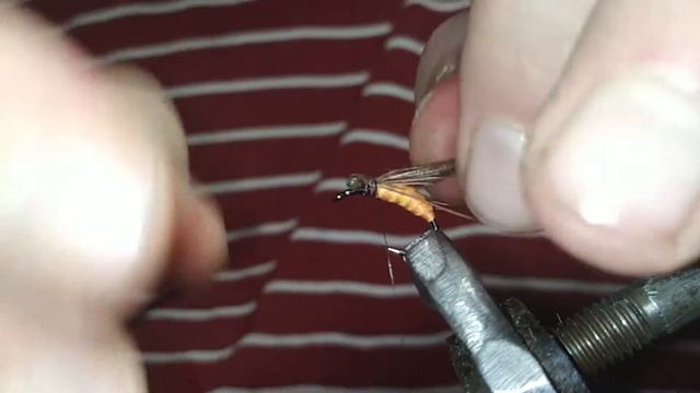 нимфа на хариуса caddis pupa carrot