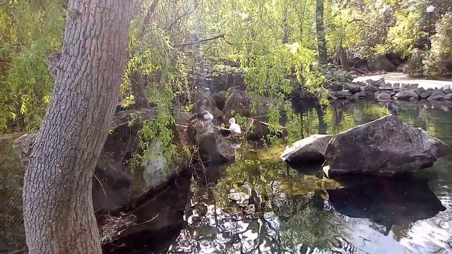 Самая красивая часть Воронцовского Парка