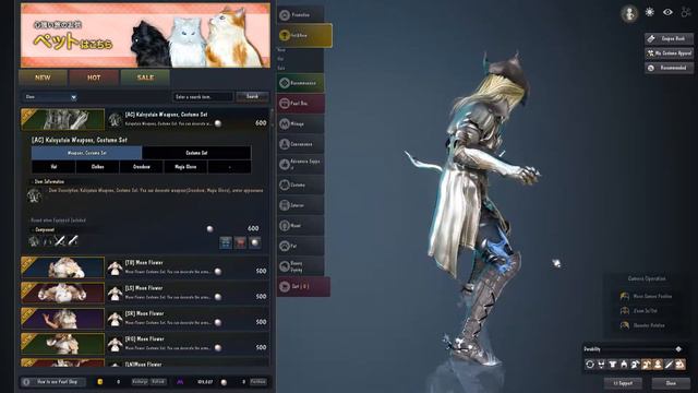 BDO JP - 09.01.2019 Cash shop