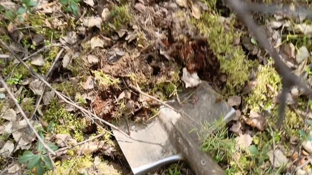 Добиваем найденную стоянку. Нашел погрузочную площадку