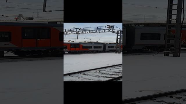 Ласточка прибывает.