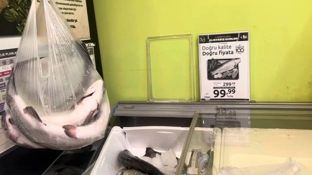 Сколько стоит рыба в магазине в Турции. Для любителей средиземноморской диеты