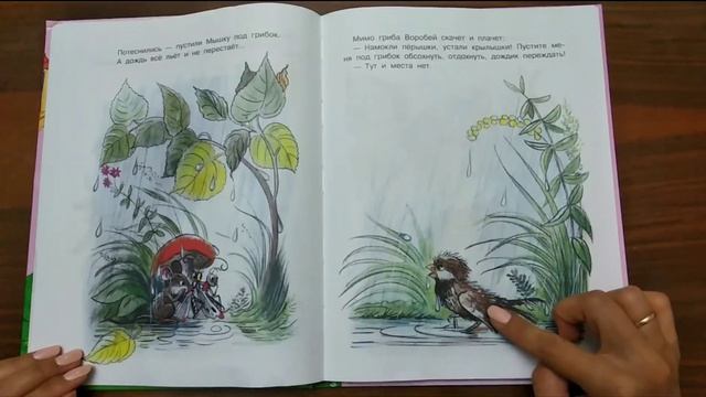Сказка Под Грибом