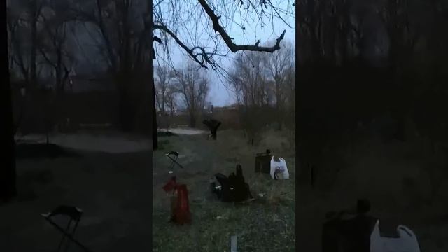 Пила 8