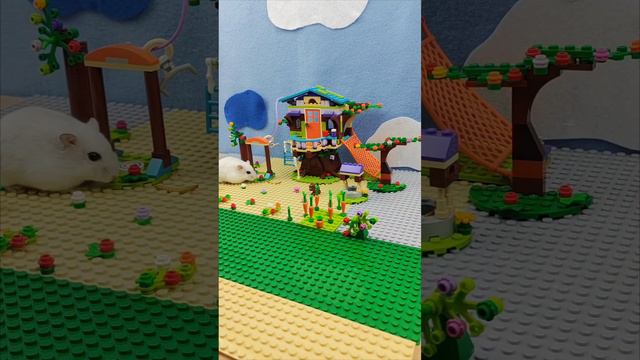 Хомячок 🐹  и Legoland #shorts