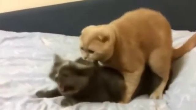 AAAAAAAAA