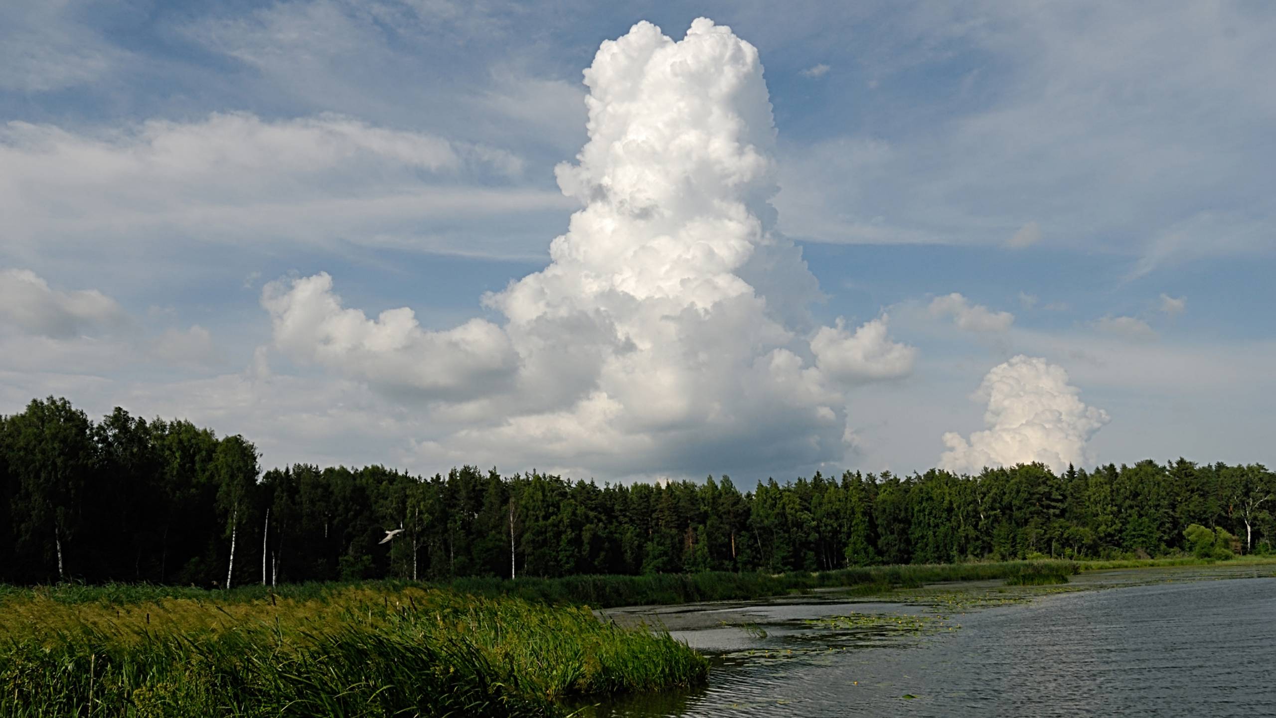 Вода и небо - 2015