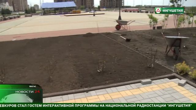 В Магасе высадили сиреневый сад.