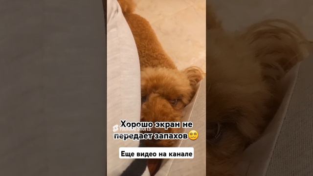 Ударил в нос