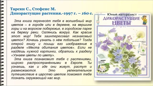 Познавалкино