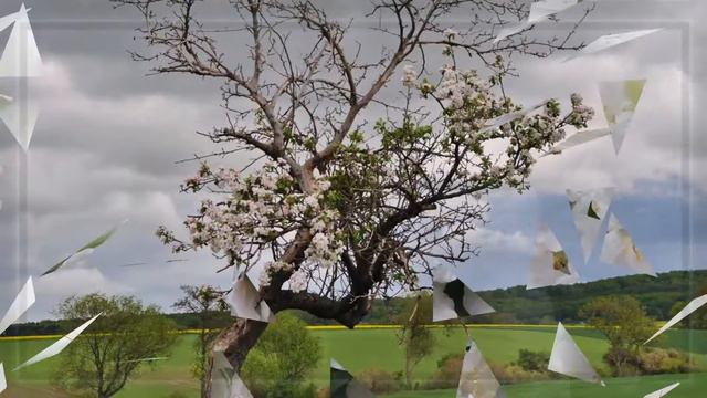 Е. Мартынов "Яблони в цвету"/The apple - trees are in blossom