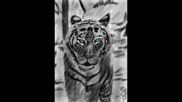 Procreate Time Lapse Drawing Of A Tiger In Charcoal & Pastel, Ipad 10.2" 2020
