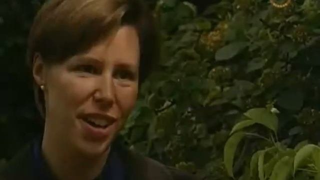Тайна зимнего сада. Секреты Ренессанса (2/3)