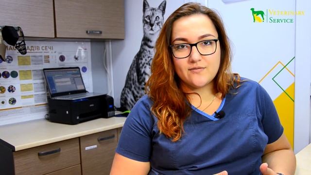 ЛОМАЕМ СТЕРЕОТИПЫ ВЕТЕРИНАРА И ЕГО РАБОТЫ