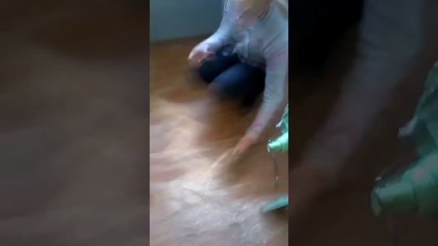 Лашары