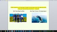 Род слов в немецком просто. Окончание -p #der #die #das