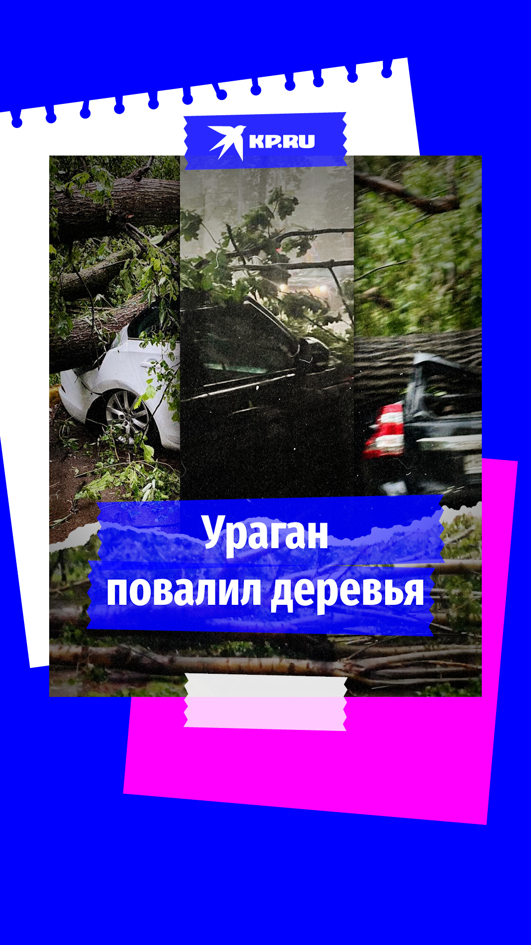 Ураган в Москве 20 июня 2024 валит деревья