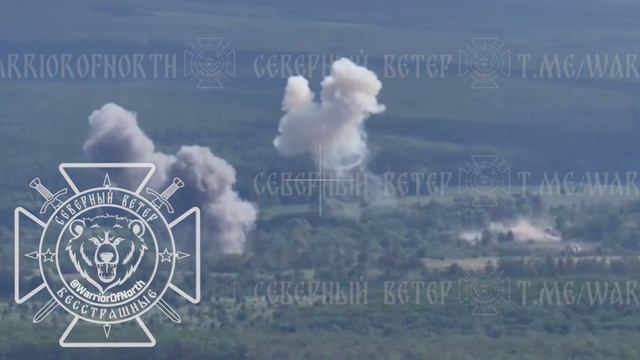 Российская авиация продолжает профилактические авиаудары по позициям ВСУ в лесах Харьковской области