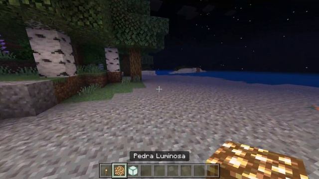 ?Consegui TRANSFORMAR Meu MCPE no MINECRAFT JAVA EDITION Com Esses RECURSOS!