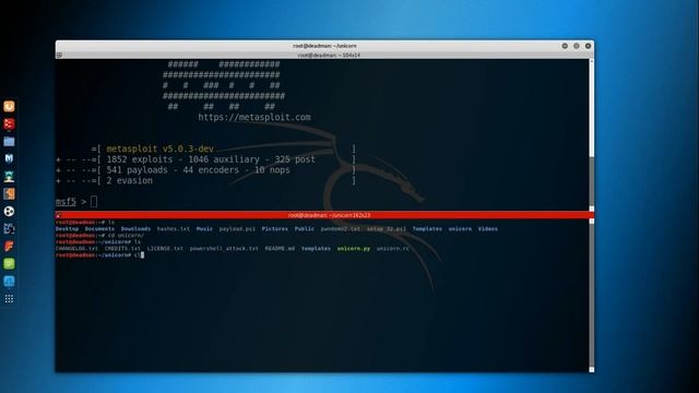 Pwn & Defend - Episode 2 - Network Pivoting with KALI Linux