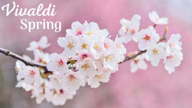 Vivaldi : The Four Seasons (Spring) // Les 4 saisons (Printemps)