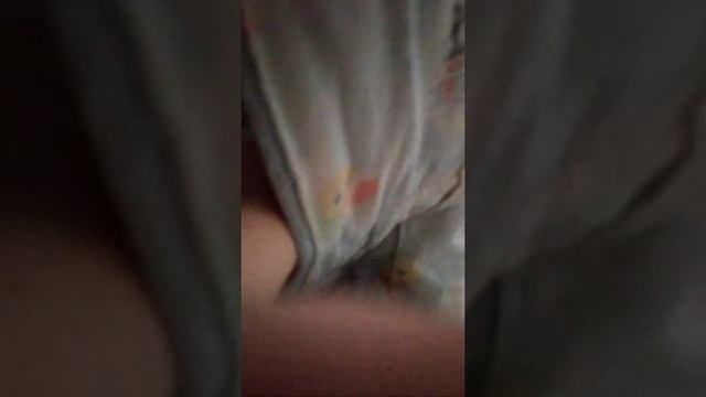 Какие сны снятся Макару и Стёпе?