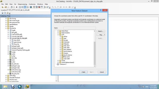 Convert  DGN file to Shapefile in arcmap #1