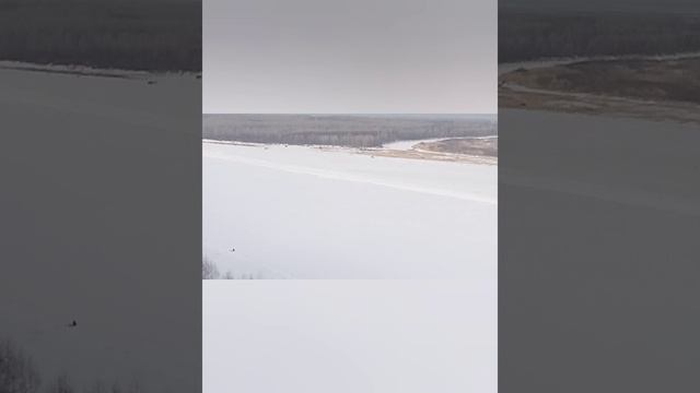 Первое декабря первый налим