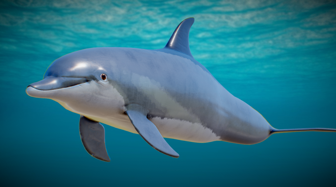 Dolphin в 3D от BlueMesh