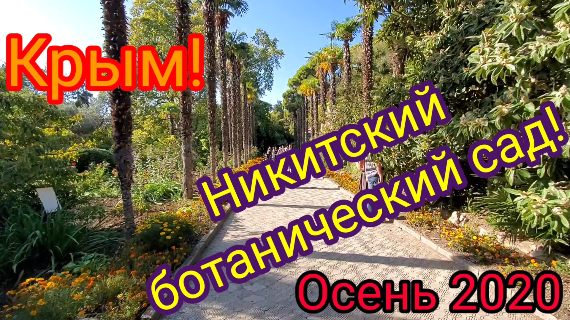 Никитский ботанический сад. Крым 2020. Большая Ялта.