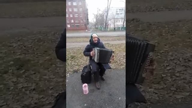 VID_20221211_155757_840.mp4