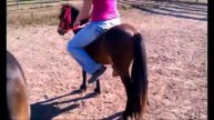 Girl Mini Horse_Pony Riding