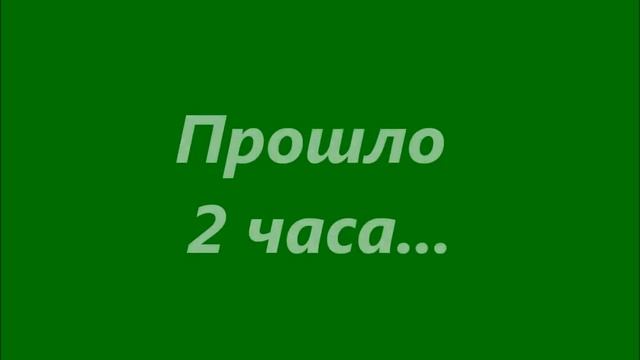 01.01.2013 в Демидково.wmv
