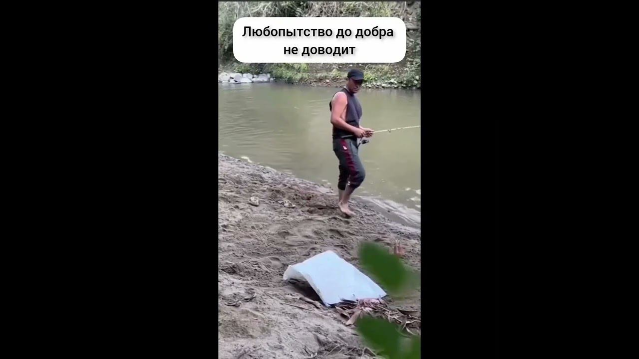 Любопытство