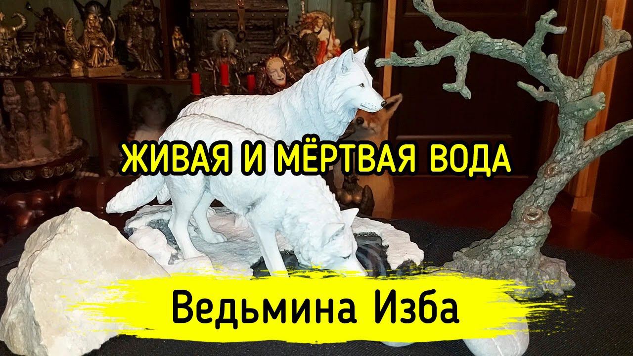 ЖИВАЯ И МЁРТВАЯ ВОДА. ВЕДЬМИНА ИЗБА ▶️ МАГИЯ