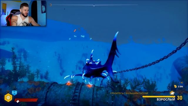 ДЕДОВСКАЯ МЕТОДИКА НАКАЧКИ АКУЛЫ // MENEATER #8