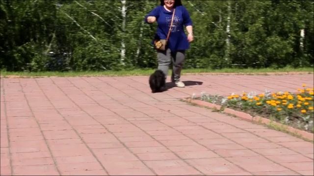 ЛУКАС.mp4