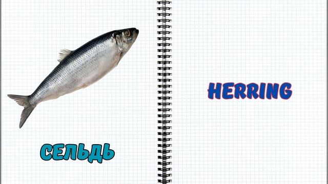 Мясо?, рыба? и морепродукты на английском