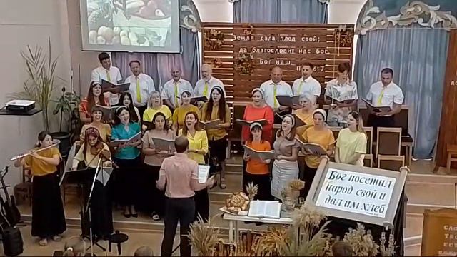 Люблю я печальную осень...Жатва 2024