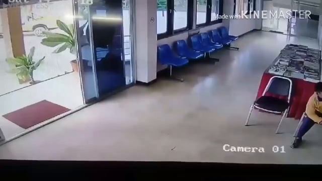 Змея скользит в полицейский участок и прыгает на человека