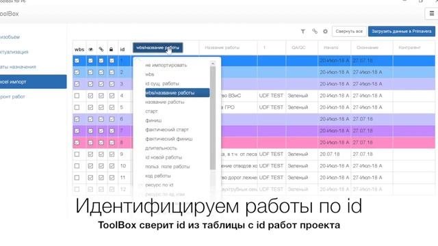 Импорт пользовательских полеи из Excel в Primavera P6