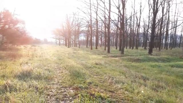 ? Дачный сезон-2021. Просто утро. 24.04.21