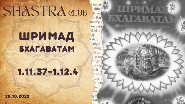 ШБ 1.11.37-1.12.4 (28.10.2022)