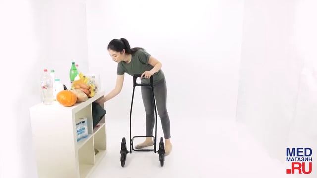 Сумка тележка Garmol Nylon шасси 3х3