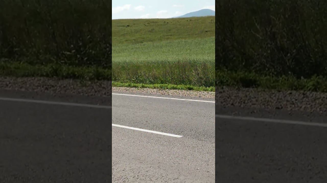 Горный Алтай. Курганы в долине.