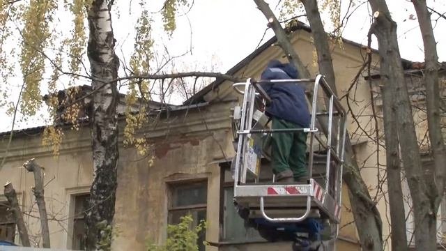 Цветная крошка на клумбах и обрезанные деревья