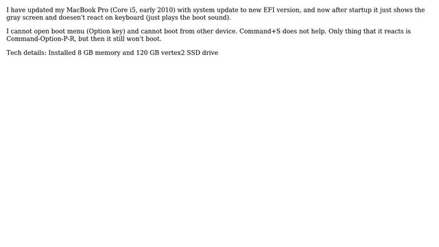 Apple: MacBook Pro 2010 won't boot after EFI upgrade